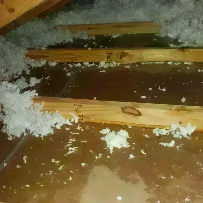 Attic Water Damage in Camp Pendleton South, CA