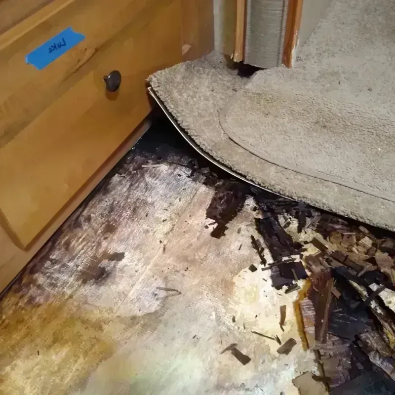 Wood Floor Water Damage in Camp Pendleton South, CA